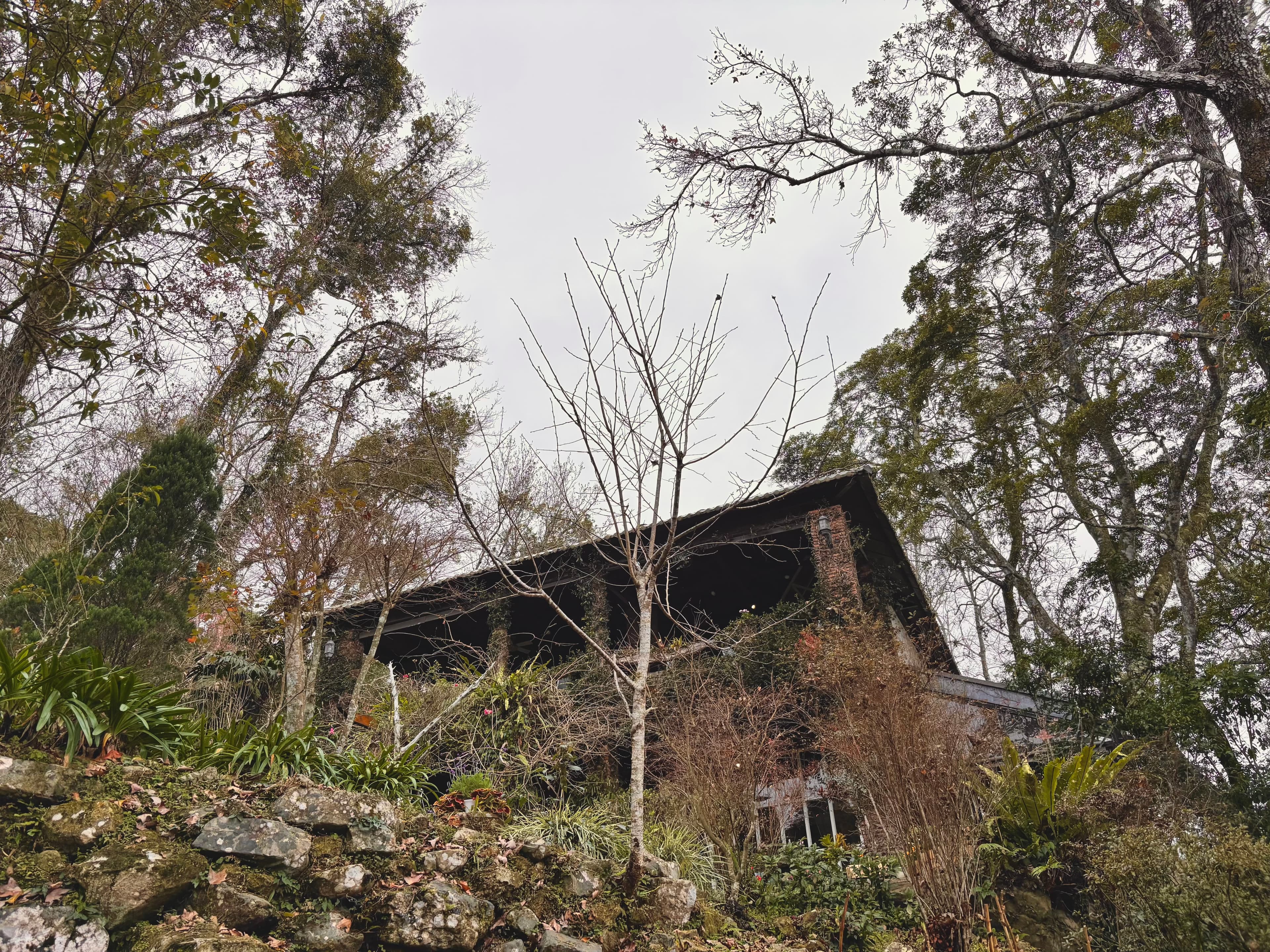新竹｜秘境景觀餐廳｜拉號花園