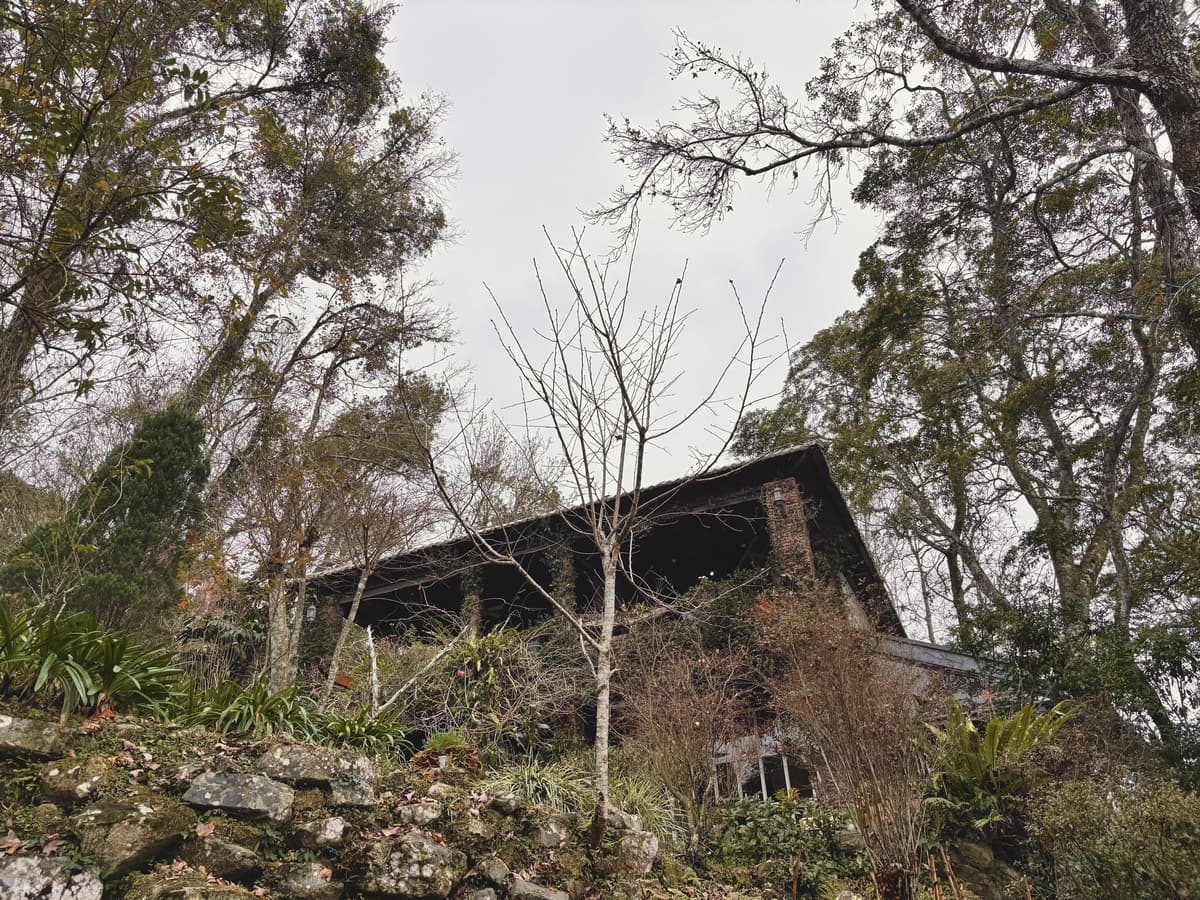 拉號花園的木造建築藏在尖石山區的林木之間