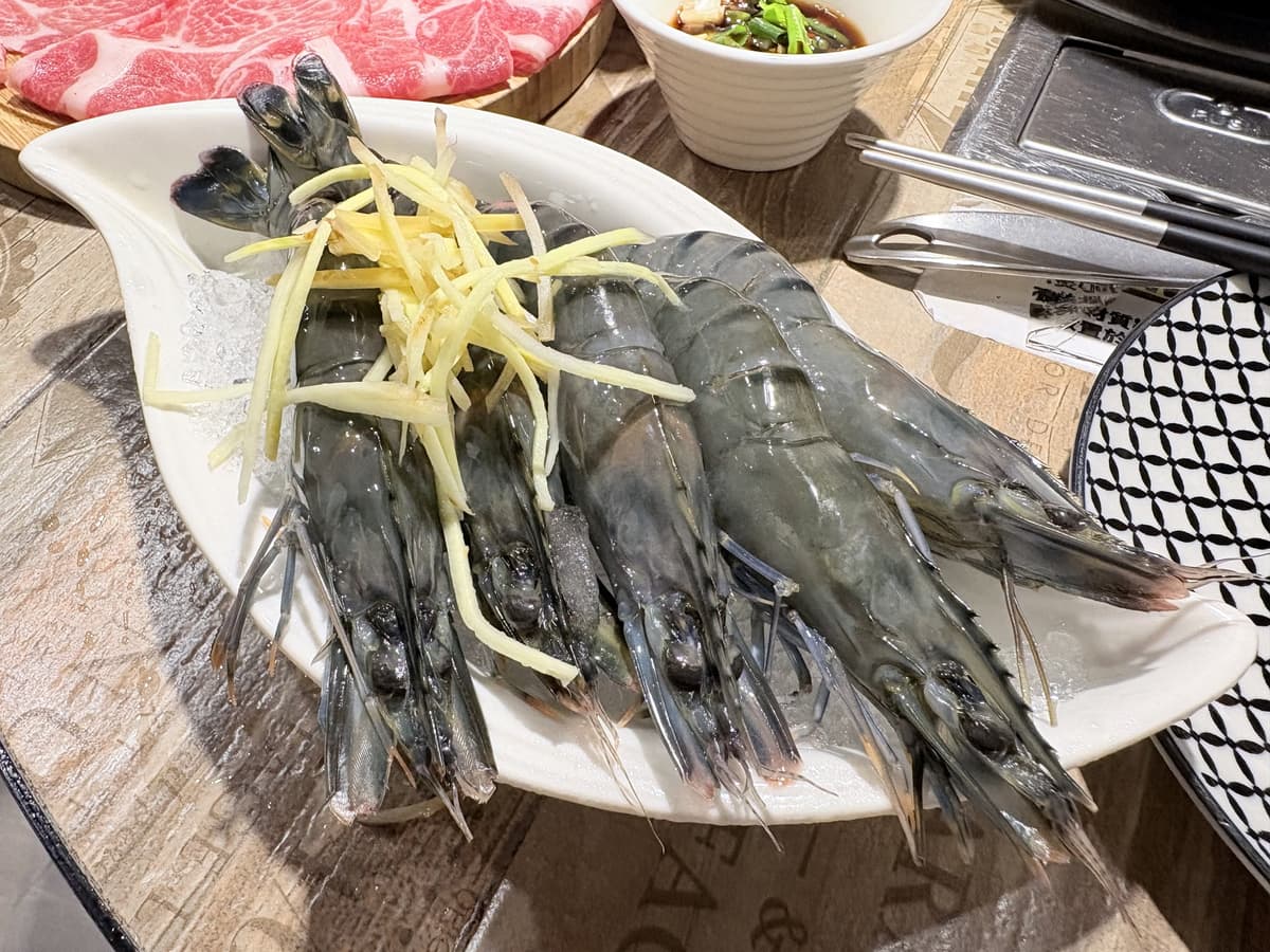 白盤上的生草蝦,個頭相當大